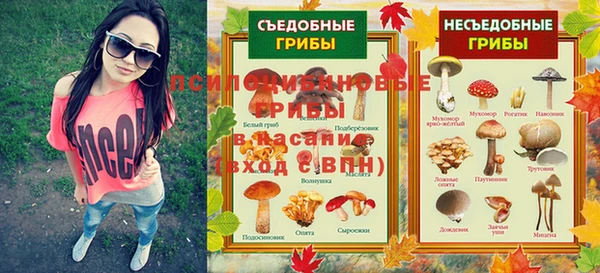 спиды Алексеевка