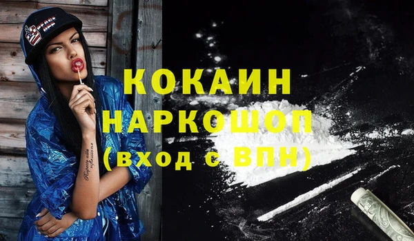 кокс Алексин