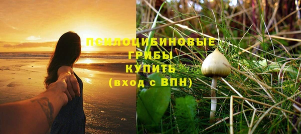 спиды Алексеевка