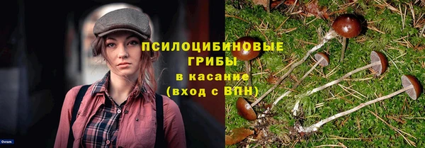 кокс Алексин
