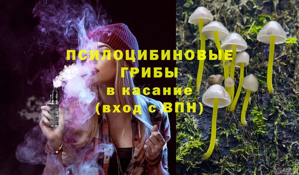 стаф Навашино